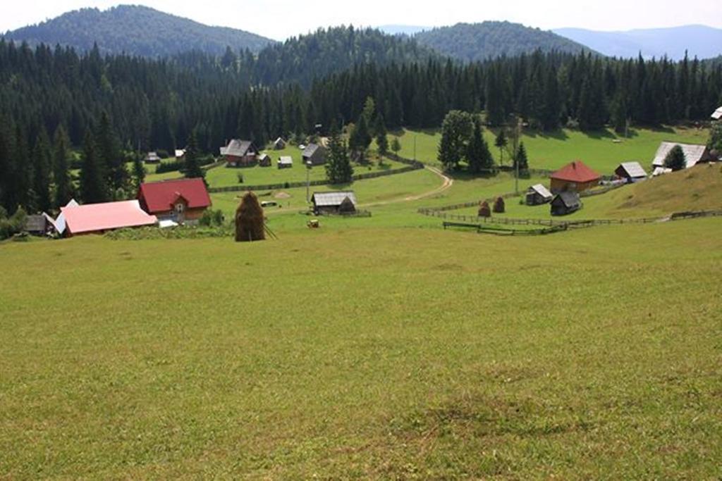 Pensiunea Scarisoara Ghetari Экстерьер фото