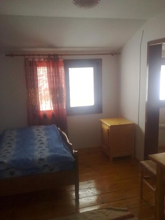 Pensiunea Scarisoara Ghetari Экстерьер фото
